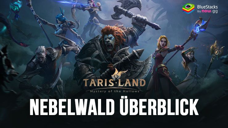 Entdecke die Karte Nebelwald von Tarisland